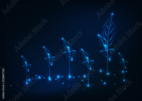 Farm field with new sprouts. Agriculture concept. Glowing low poly wireframe background on dark blue.