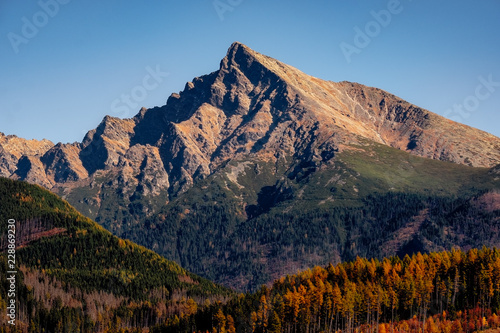 Fototapeta Naklejka Na Ścianę i Meble -  Mountain peak Krivan in High Tatras, with beautiful autumn color, Slovakia