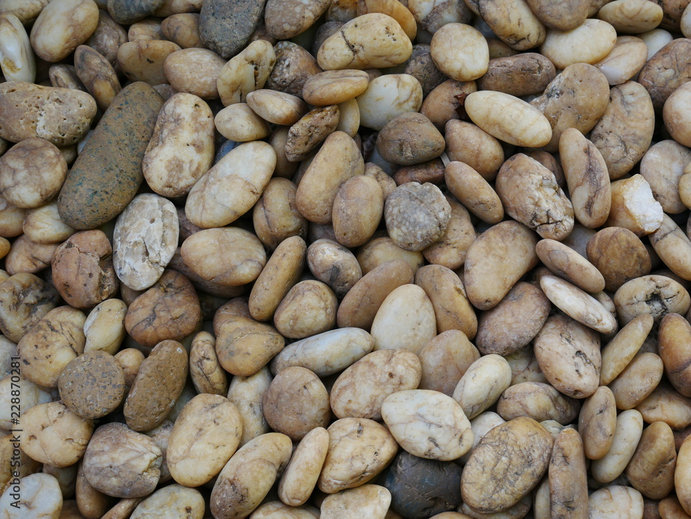 rock stone in the garden,aroma stone rock stone in the garden,aroma stone