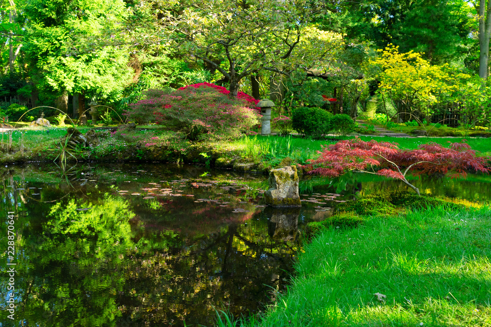 Obraz premium płynąca woda źródlana i zielona trawa w ogrodzie japońskim w Hadze, Holandia