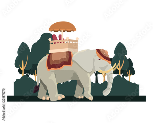 indian royal elephant