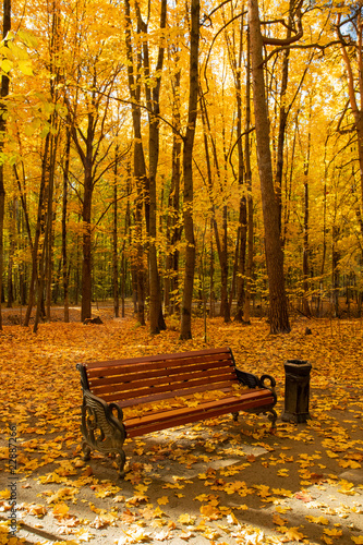 Wooden Bench With Colorful Leaves In Autumn Park In Sunny Day.