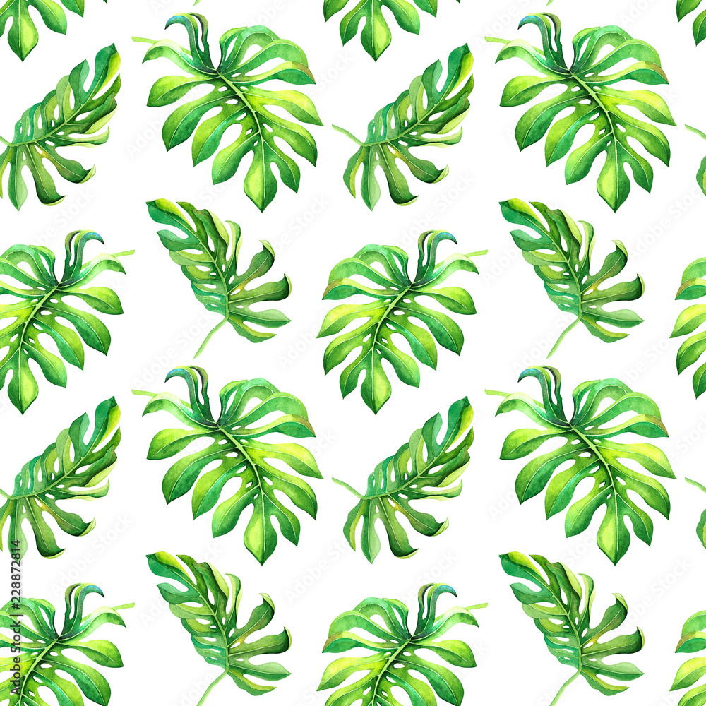 Colorful watercolor tropical pattern with great leaves isolated on white background. Exotic monstera plant foliage texture for design print, wallpaper, wrapping paper, summer party banner , card print
