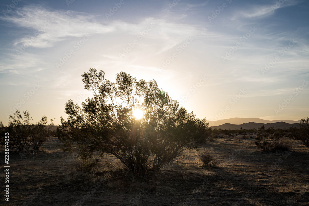 Sunset in the Desert – 3