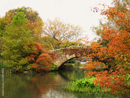 Central Park in Fall © Eduardo