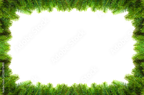 Christmas green framework with fir branches on white background
