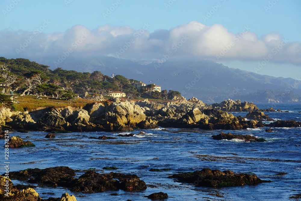 Pazifik Küste | Strand in Kalifornien | USA