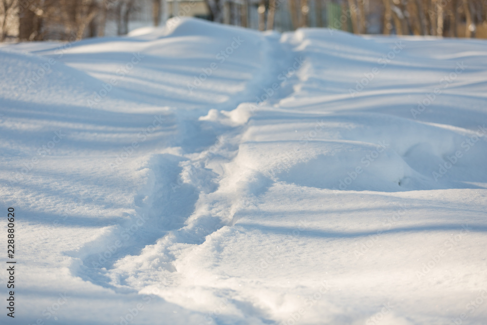 Snowshoe path Snowshoe path