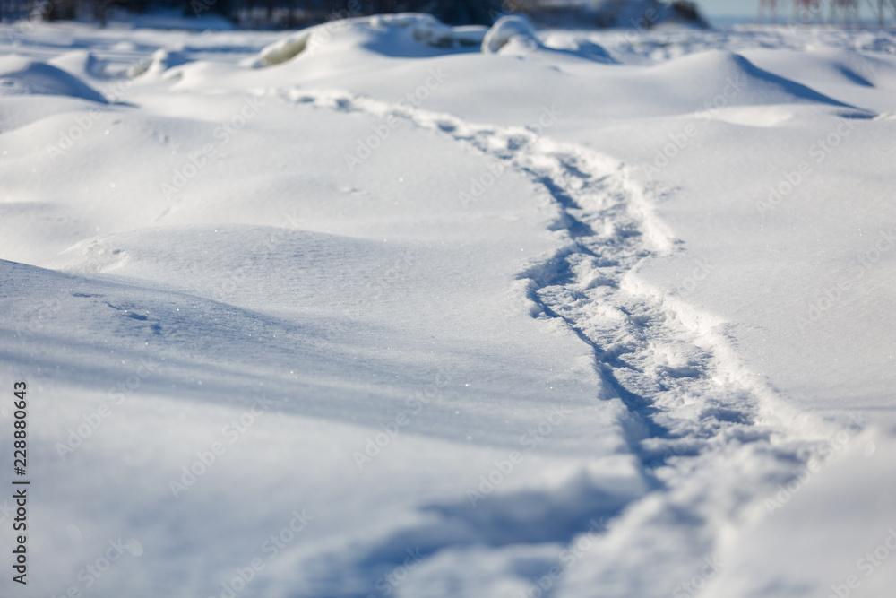 Snowshoe path
