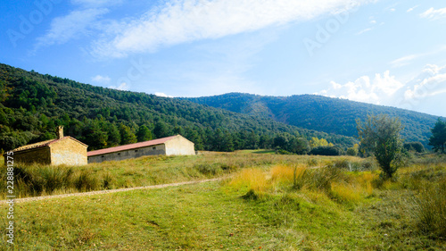 Naturaleza en el Pigalo Luesia en otoño photo