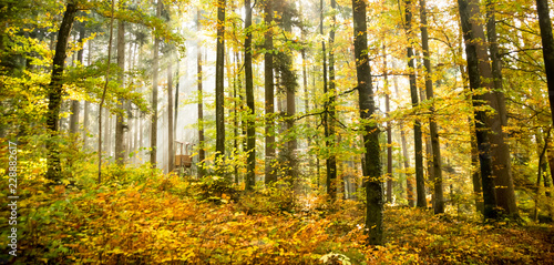 Jagdhütte im Herbst © Mrql