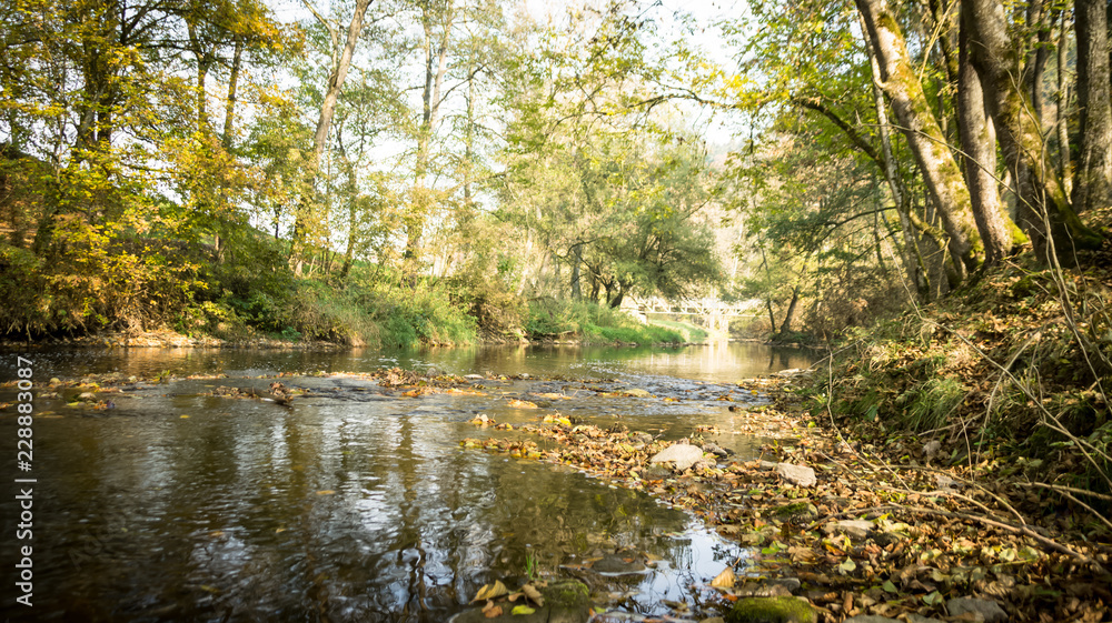 Trees and a River in Autumn on a sunny and cloudy day Trees and a River in Autumn on a sunny and cloudy day