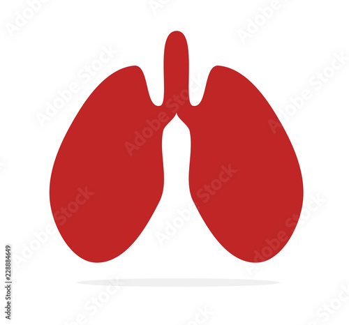 lungs vector icon
