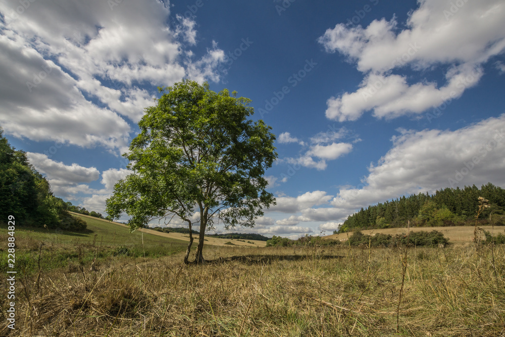 Landschaft im Herbst Landschaft im Herbst