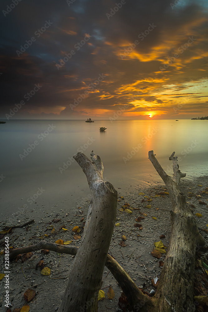 beautiful photos are from Mentawai island, Indonesia