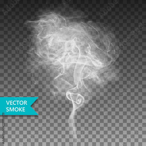 Vector realistic smoke on the transparent background.