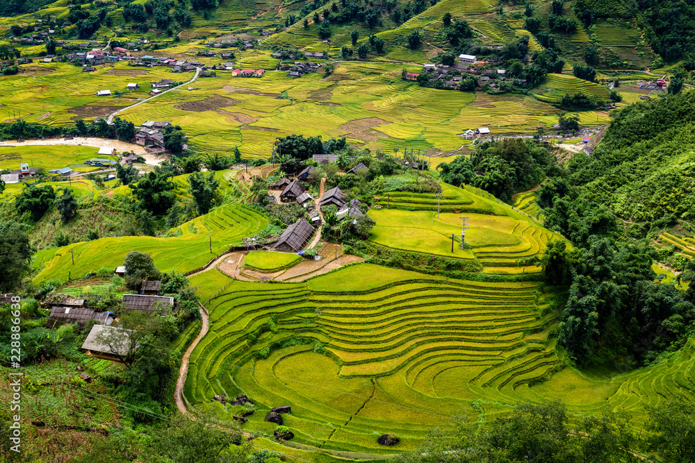  The village is located between terraced fields in sapa- a famous tourist destination in Vietnam
