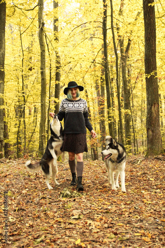 Two Siberian Husky walk in the autumn forest with their mistress. Girl in a hat in a knitted sweater and skirts with leggings. Black and white dogs and feathered leaves.