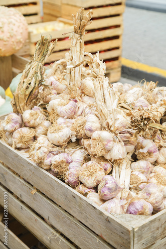 Garlic in wooden boxes on sale in french city market