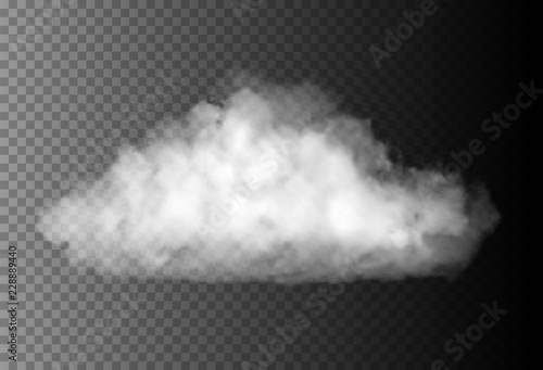 Vector realistic cloud on the transparent background.