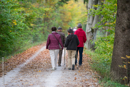 Kleine Vierer-Senioren-Gruppe bei der gemeinschaftlichen Herbstwanderung im Wald / im Park auf einem Weg mit Laub