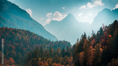Piękny krajobraz górski z jesień las. Alpejskie krajobrazy - Alpy Julijskie