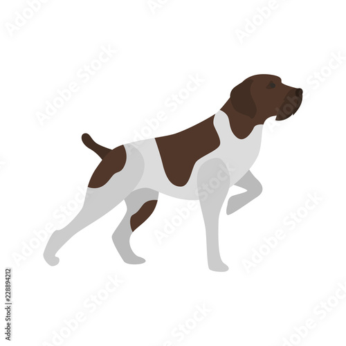 Hunter dog color vector icon. Flat design