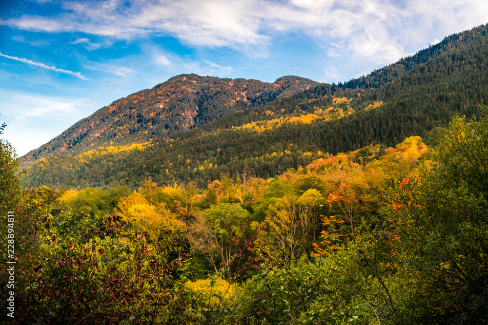 Otoño en Pirineos, Val de Aran. España