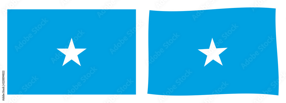 Federal Republic of Somalia flag. Simple and slightly waving version. Federal Republic of Somalia flag. Simple and slightly waving version.