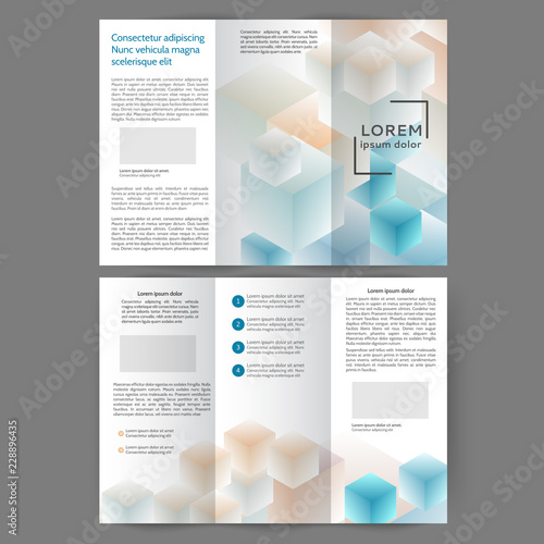Color tri fold business brochure