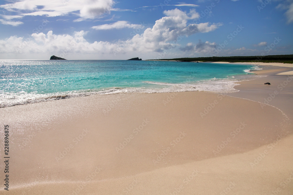 Sandy beach at Gardner Bay, Espanola Island, Galapagos National park, Ecuador Sandy beach at Gardner Bay, Espanola Island, Galapagos National park, Ecuador