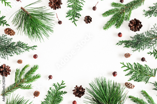 Fotografie Christmas composition