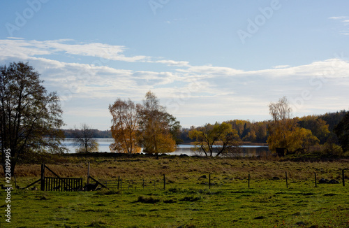 Viking burrial feld in Adelsö at lake Mälaren, Stockholm, a pale autumn day with blue sky and sea with clouds and orange leafs