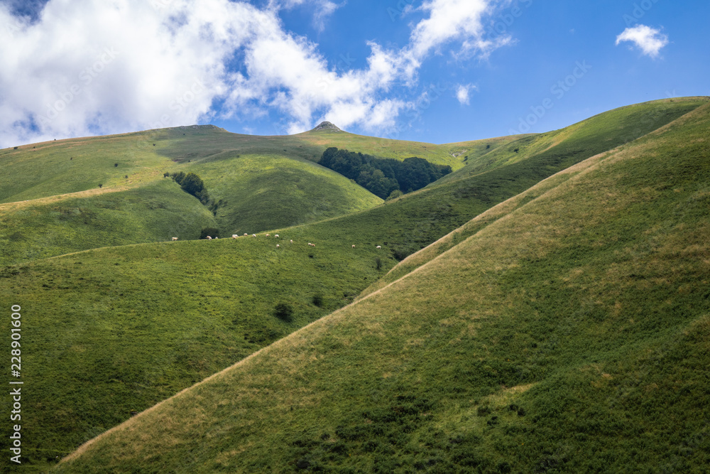 scenic landscape hill in Iraty mountains in summertime blue sky , basque country, france scenic landscape hill in Iraty mountains in summertime blue sky , basque country, france