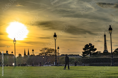 Fototapeta Naklejka Na Ścianę i Meble -  sunset in park in paris