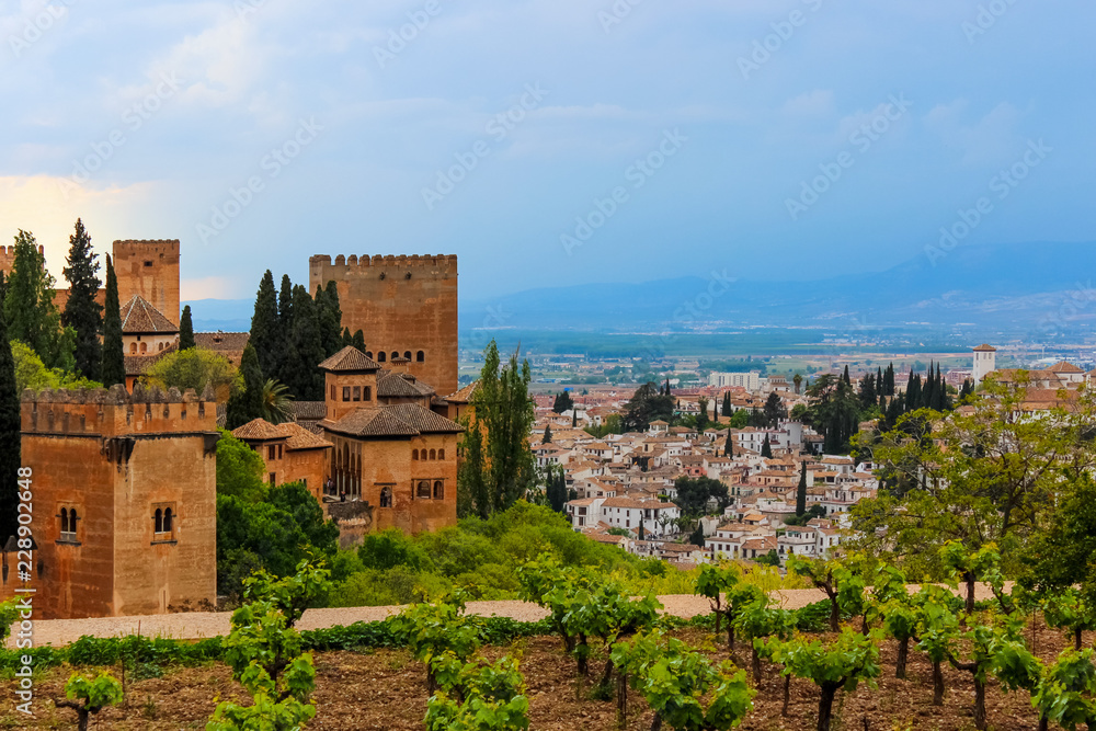 Beautiful view of a vineyard and the city of Granada, Spain