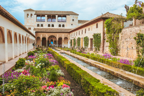 Garden in Granada, Spain photo