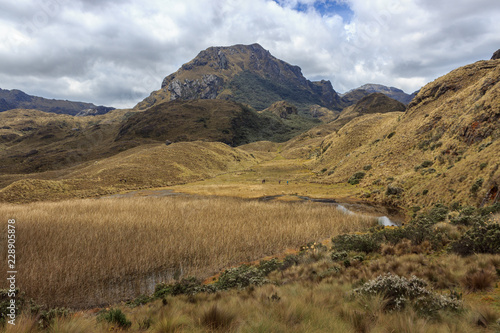 panoramic landscape of cajas national park, ecuador © Mira
