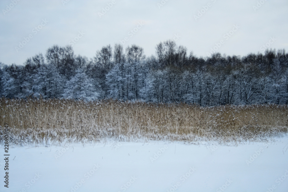 custom made wallpaper toronto digitalShore