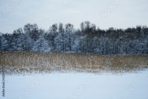 Wallpaper Mural Shore Torontodigital.ca