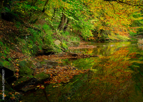 Autumn river scene