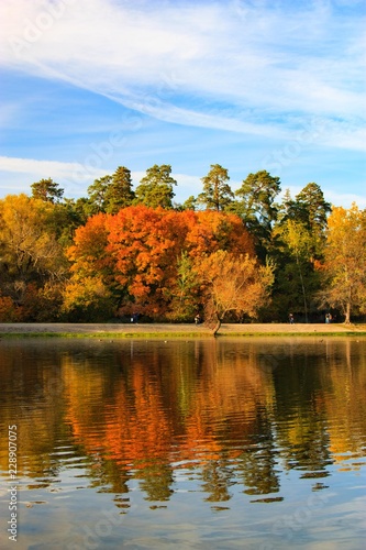 autumn landscape with lake and yellow and green trees reflecting in the water