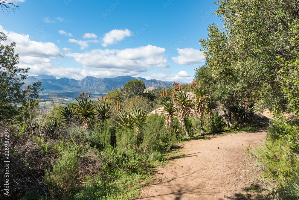 Hiking trail at the Afrikaans Language Monument at Paarl Hiking trail at the Afrikaans Language Monument at Paarl