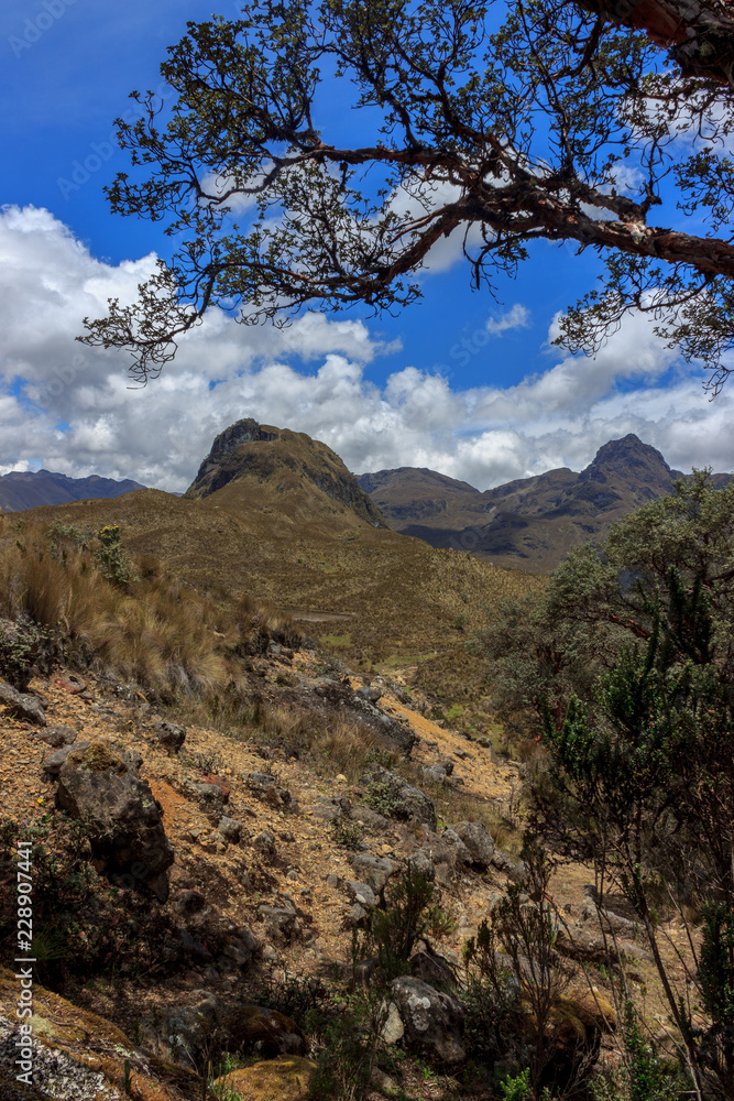 panoramic landscape of cajas national park, ecuador panoramic landscape of cajas national park, ecuador