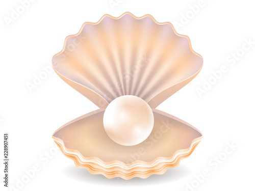 shell with a pearl. isolated image. realistic style. vector illustration.