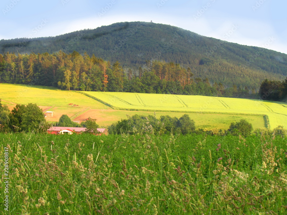 Summer rural hilly landscape with green meadow, yellow fields, view of the mountain called Blanik, natural still life, Czech republic