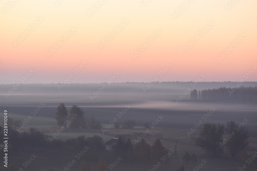 Serene autumn landscape. Clear sky and dense mist with trees in distanse