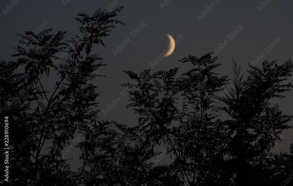 Fototapeta premium A spasso per la Toscana
