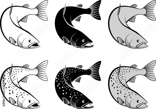 salmon - monochrome and line art illustration