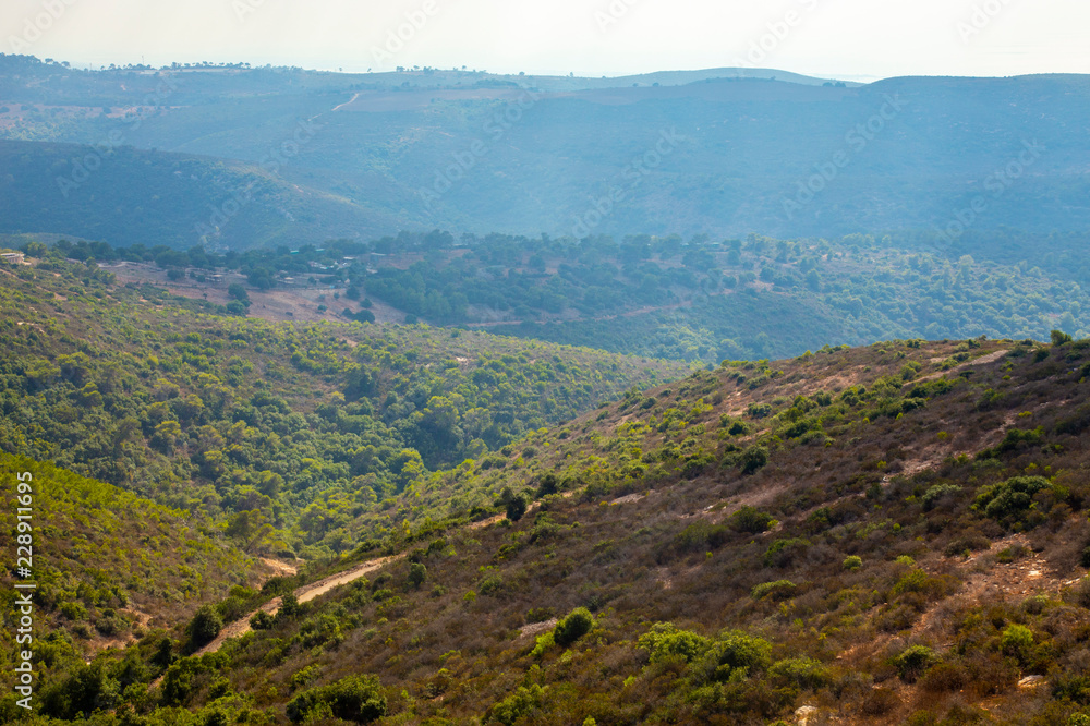 Fototapeta premium The green hills of mount Carmel
